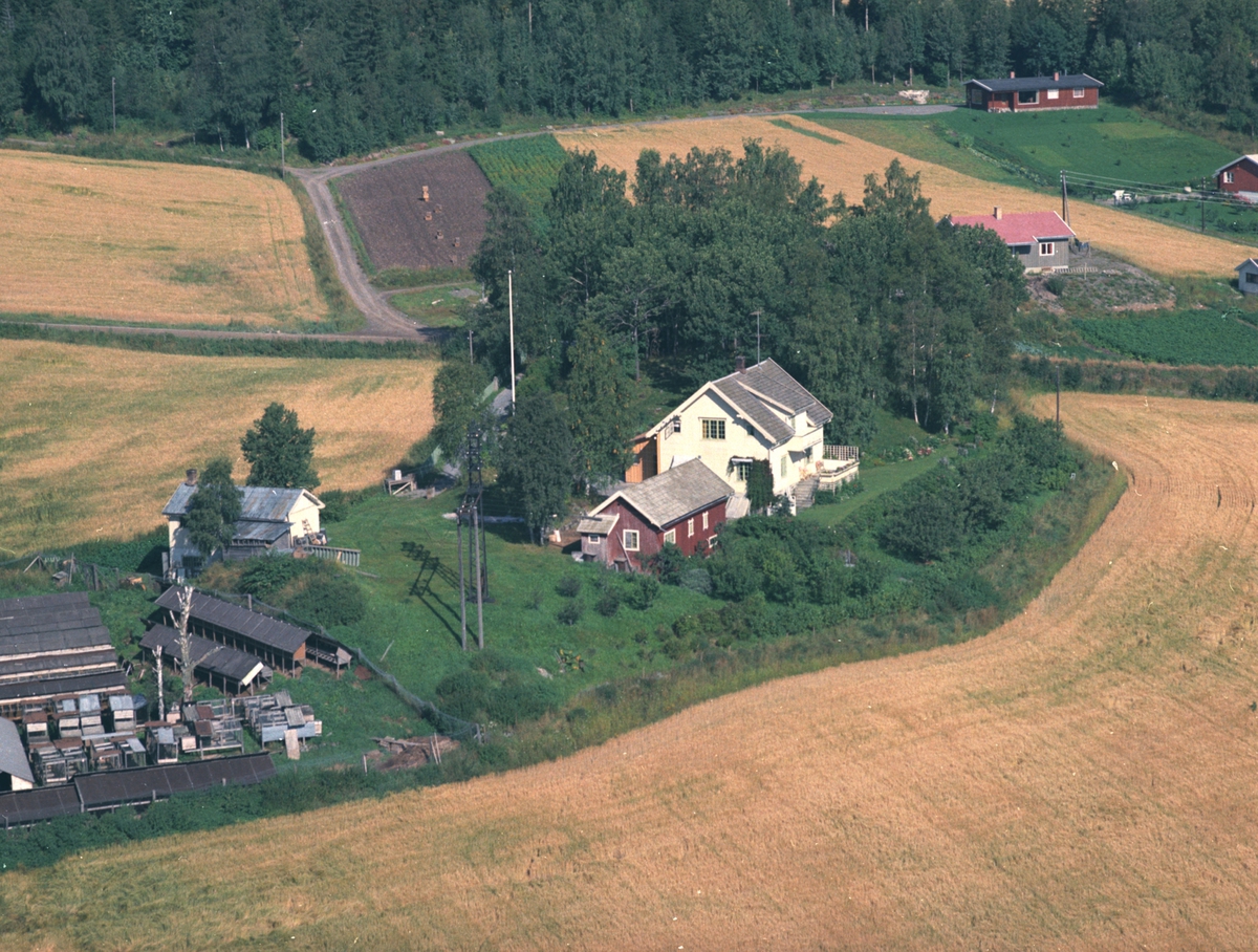 Widerøes Flyveselskap A/S, Flyfoto, Haugen, Veldre, Ringsaker.