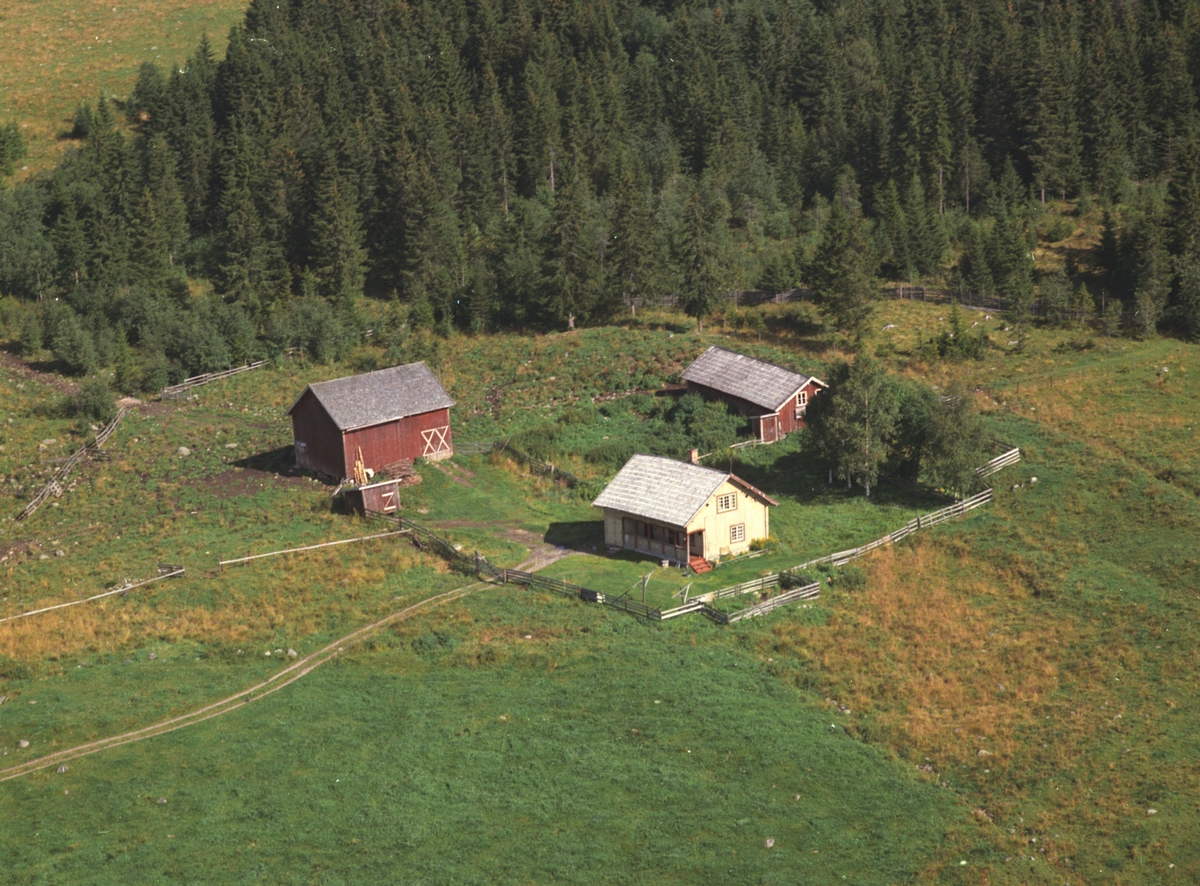 Widerøes Flyveselskap A/S, Flyfoto, Viholt under Svea, Veldre, Ringsaker.