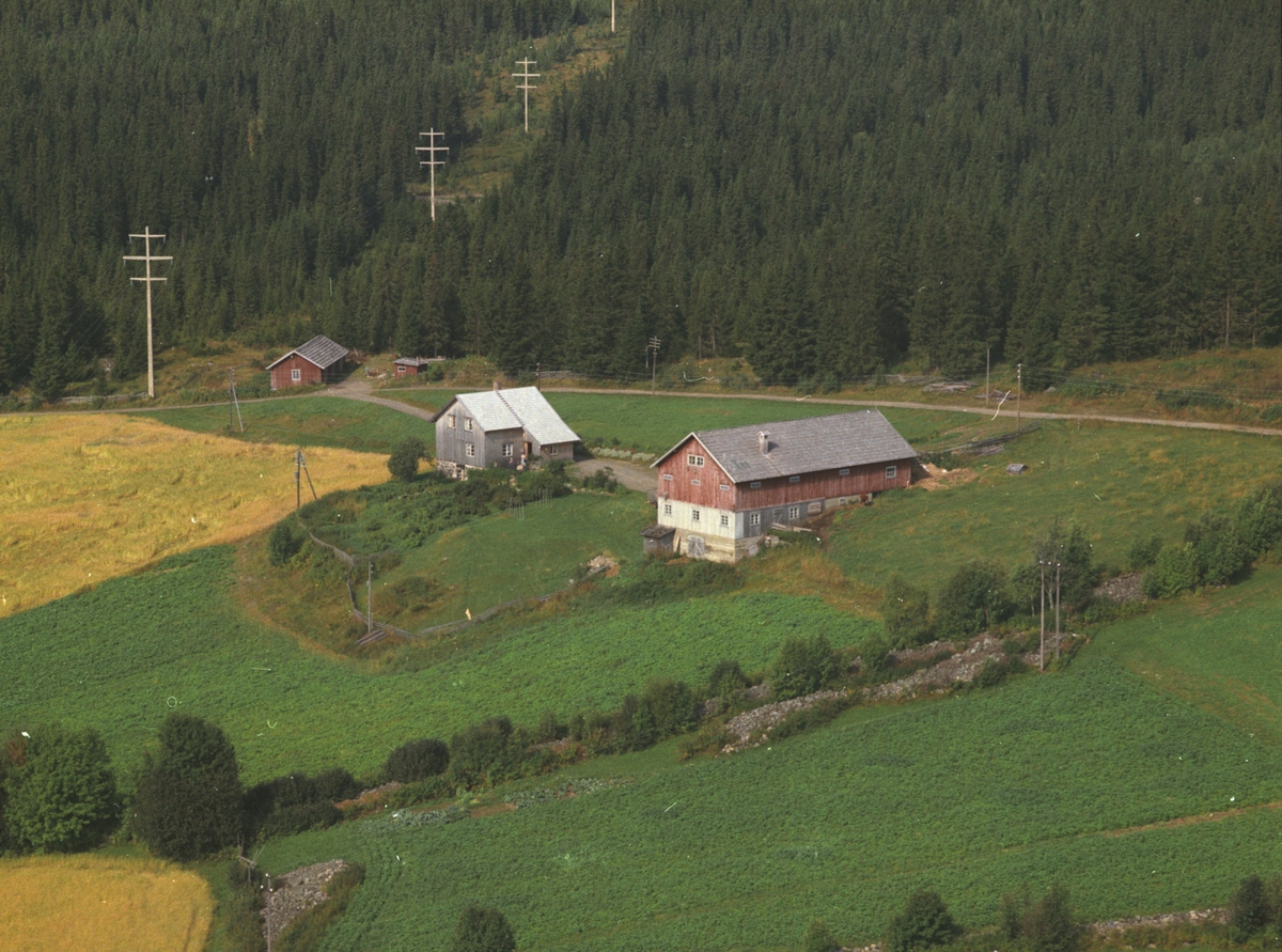 Widerøes Flyveselskap A/S, Flyfoto, Skogen østre, Ellevsætervegen, 383, gnr 19 bnr 10, Veldre,