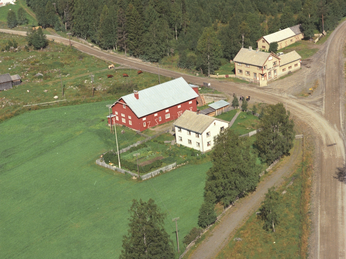 Widerøes Flyveselskap A/S, Flyfoto, Arneberg gard, Hans Bjørge landhandel, Næroset, Ringsaker.