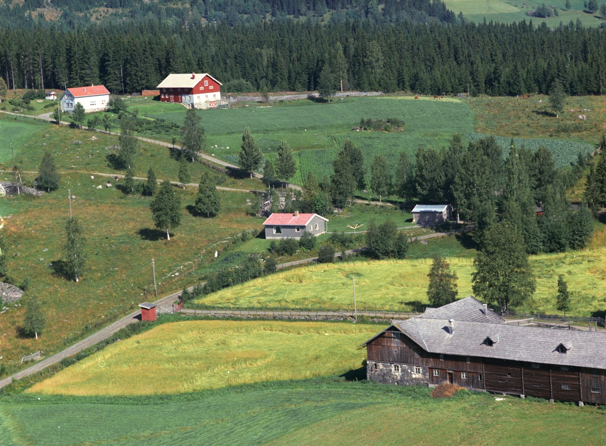 Widerøes Flyveselskap A/S, Flyfoto, Haugtun, Åsmarka, Ringsaker.