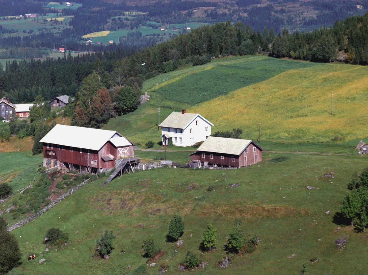 Widerøes Flyveselskap A/S, Flyfoto, Åsen vestre, Åsmarka, Ringsaker.