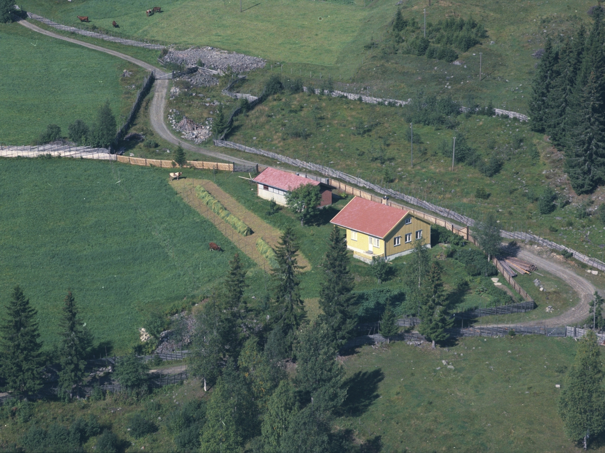 Widerøes Flyveselskap A/S, Flyfoto, Engeli, Åsmarka, Ringsaker.