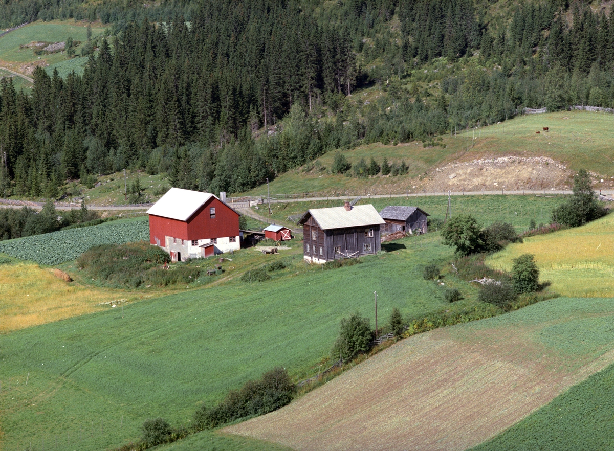 Widerøes Flyveselskap A/S, Flyfoto, Aaseth nordre,, Åsmarka, Ringsaker.