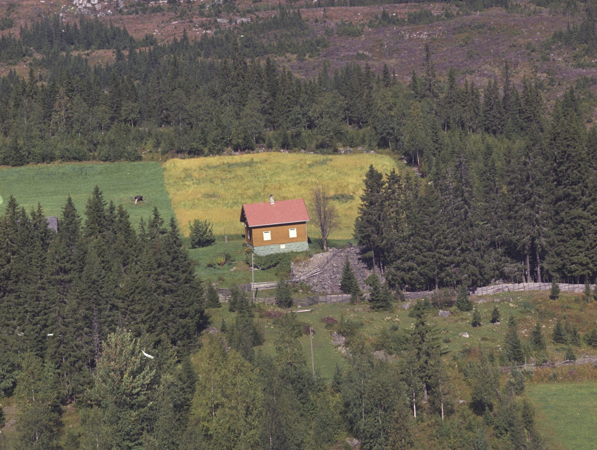 Widerøes Flyveselskap A/S, Flyfoto, Berget, fritidsbolig, nabo til Åsethagen, Åsmarka, Ringsaker.