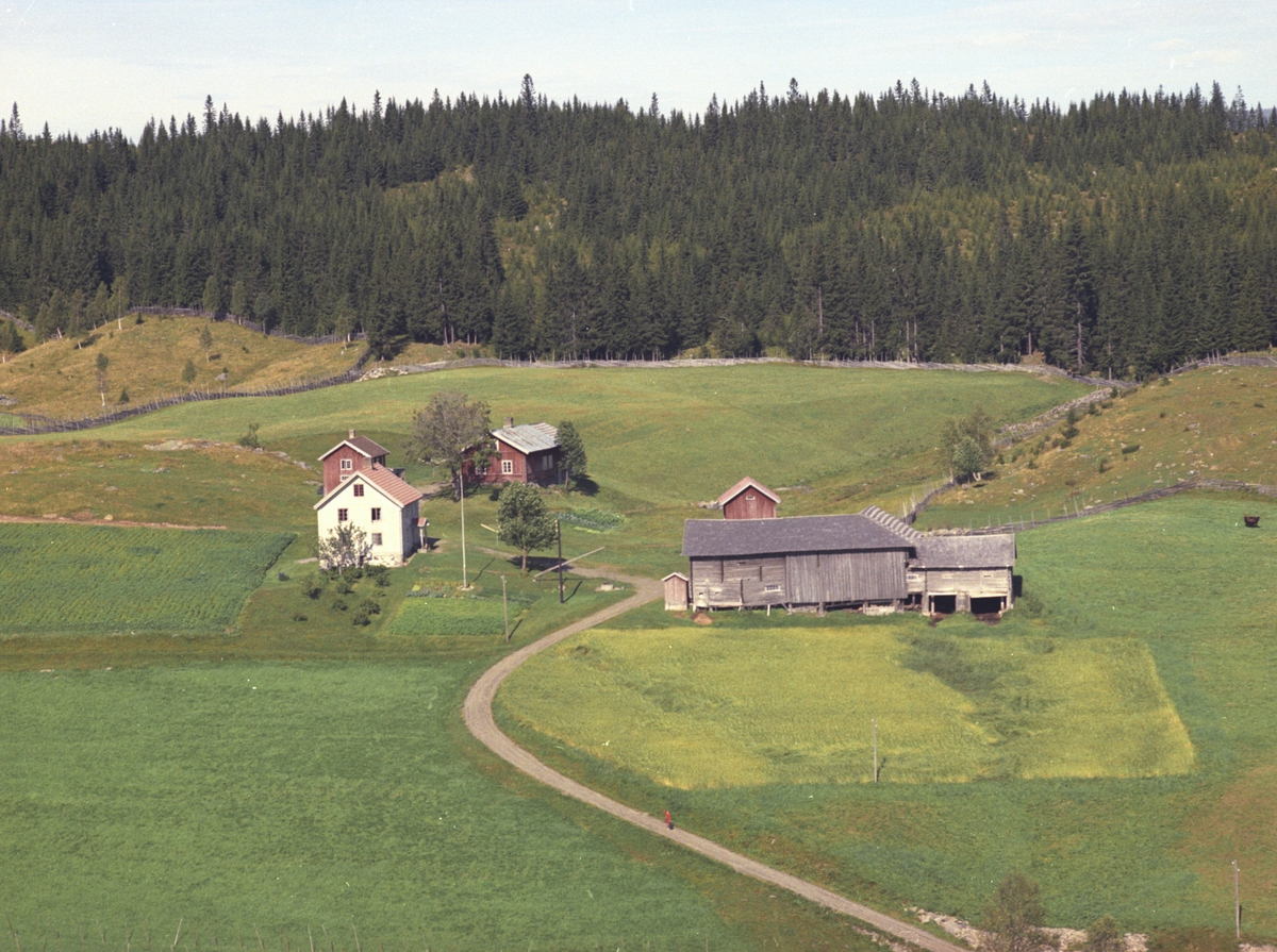 Widerøes Flyveselskap A/S, Flyfoto, Markerud, Lismarka, Ringsaker, g.nr. 492.3. .