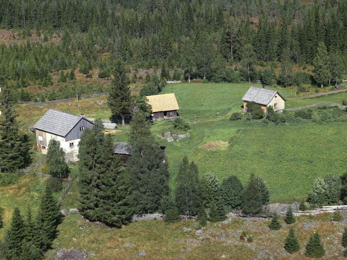 Widerøes Flyveselskap A/S, Flyfoto, småbruk ved Grasbakken, Lismarka, Ringsaker.