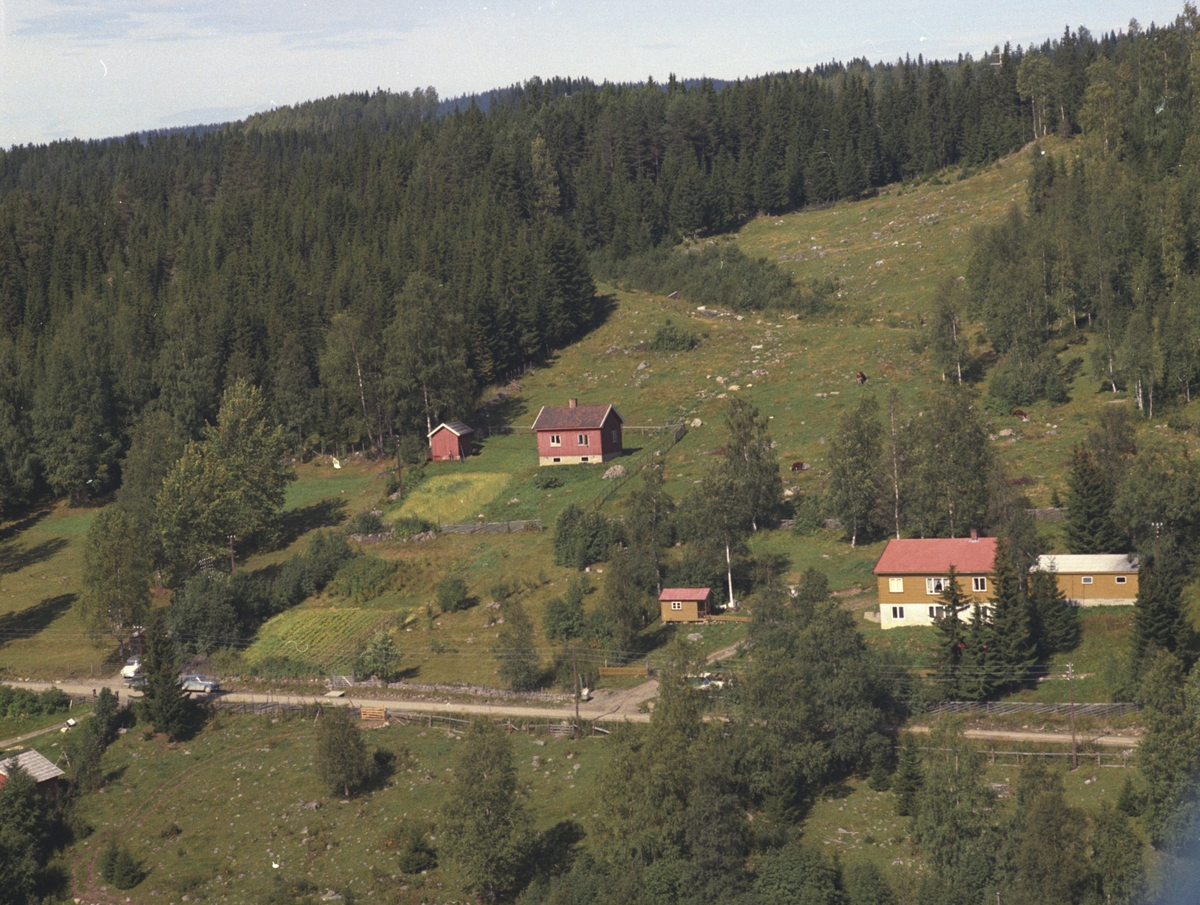 Widerøes Flyveselskap A/S, Flyfoto, Bjørkely g.nr. 450.27, Lismarka, Ringsaker.