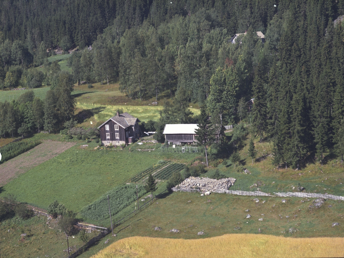 Widerøes Flyveselskap A/S, Flyfoto, Haugtun, 449.7, Lismarka, Ringsaker.