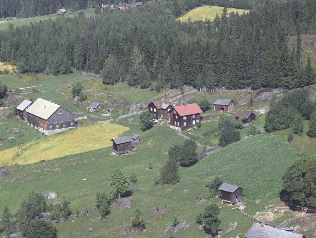 Widerøes Flyveselskap A/S, Flyfoto, Nordre Jørgensborg 445.1, Lismarka, Ringsaker.