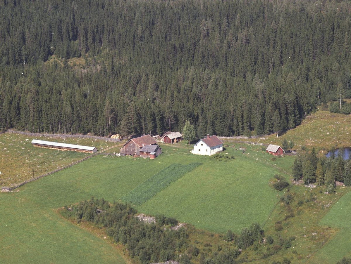 Widerøes Flyveselskap A/S, Flyfoto, Mythaugen 441.4, Lismarka, Ringsaker.