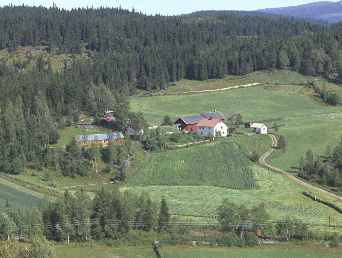 Widerøes Flyveselskap A/S, Flyfoto, Lillehagen, Lismarka, Ringsaker.