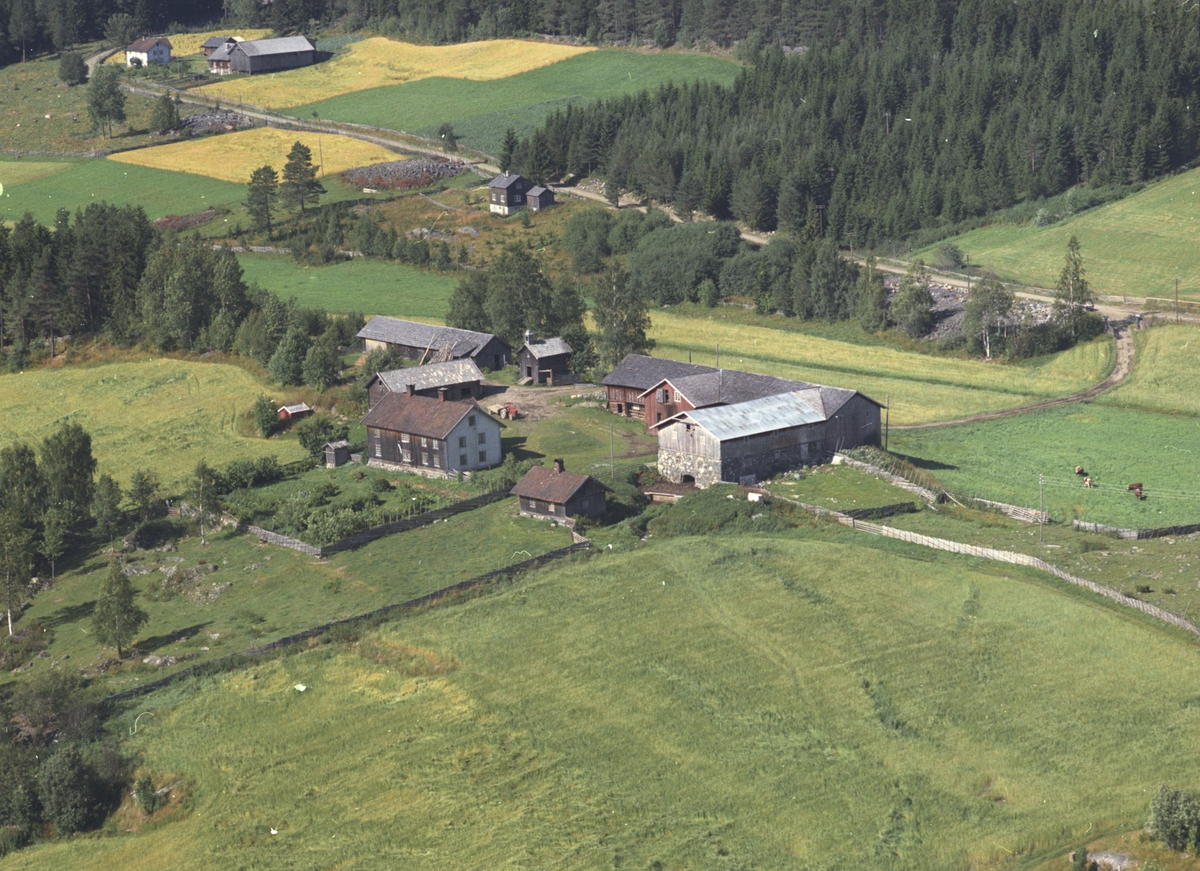 Widerøes Flyveselskap A/S, Flyfoto, Lohnsveen 462.1. Storsveen øverst til venstre, Lismarka, Ringsaker.