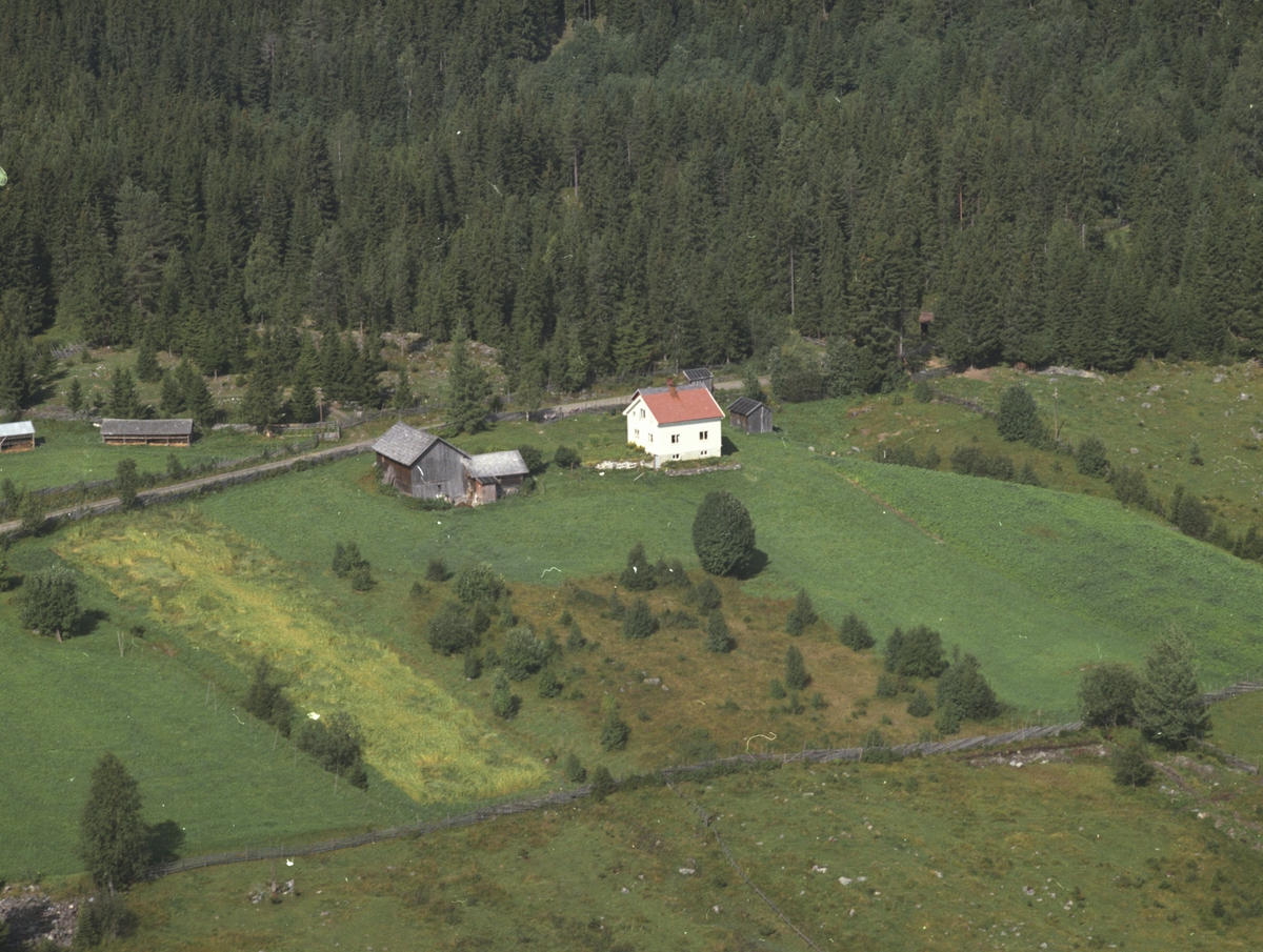 Widerøes Flyveselskap A/S, Flyfoto, ukjent småbruk, Lismarka, Ringsaker.