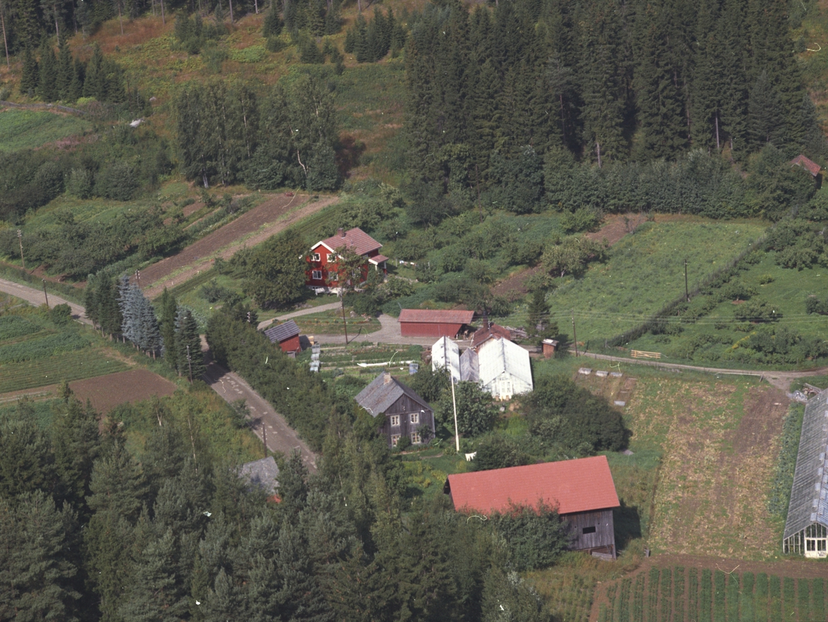 Widerøes Flyveselskap A/S, Flyfoto, L.E. Aamot gartneri, Bergseng, Ringsaker.