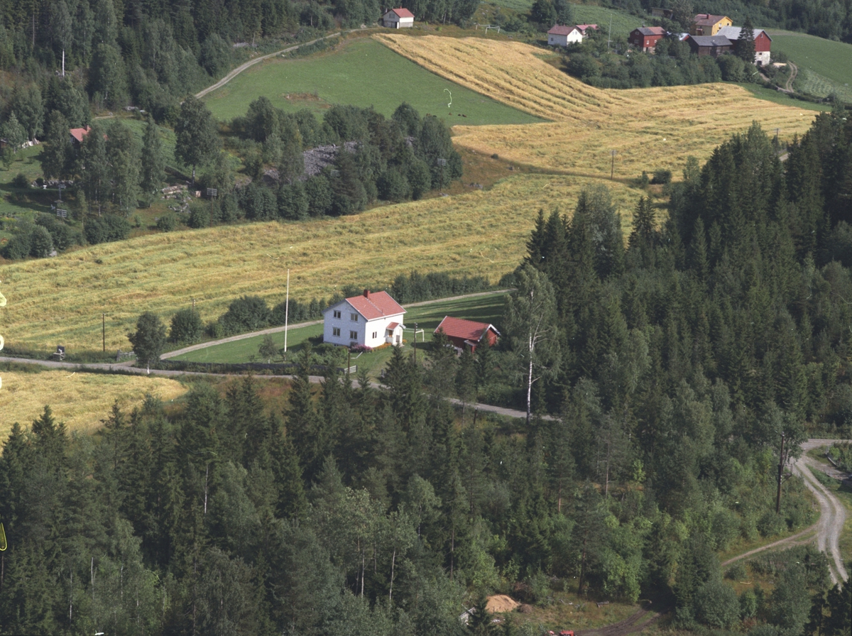 Widerøes Flyveselskap A/S, Flyfoto, garden i bakgrunnen er Sveom, boligen i forgrunnen tilhører gården, Bergsengroa, Ringsaker.