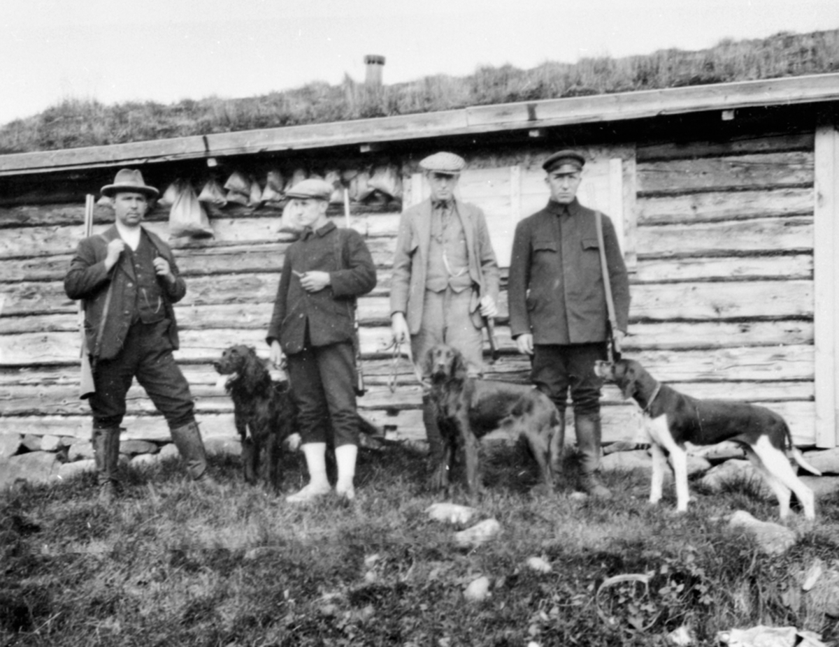 Anno Domkirkeodden, 4 menn med gevær og fuglehunder. Jaktlag i Løvlia, Ringsakerfjellet.