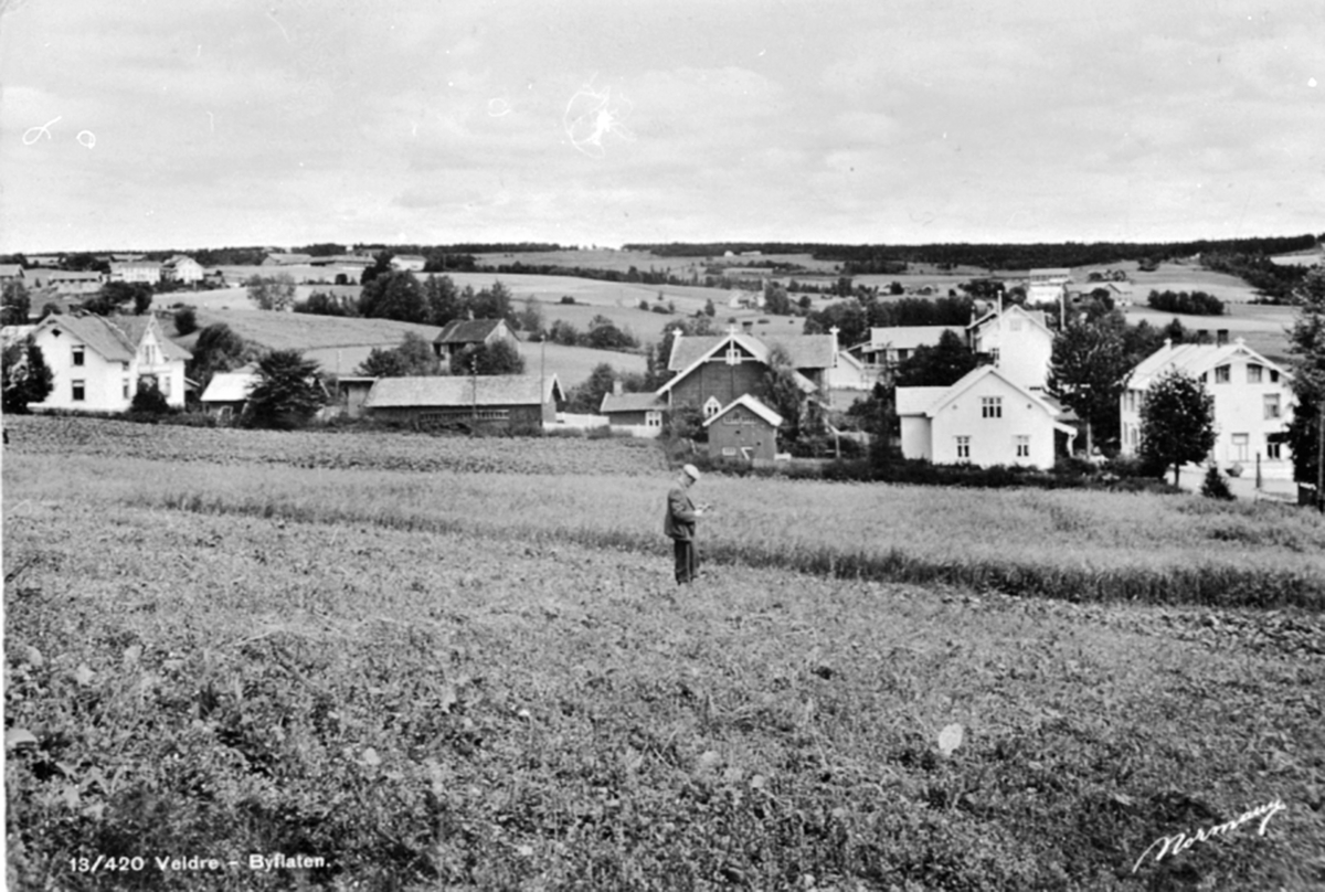 Anno Domkirkeodden, Oversikt, Byflate, Veldre, Ringsaker, gamlehjem, bedehus, samvirkelag.