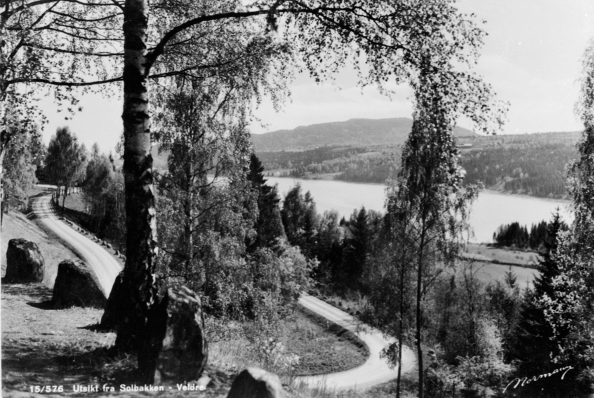 Anno Domkirkeodden, Utsikt fra Solbakken, vegen til Veldre stasjon, Ringsaker.