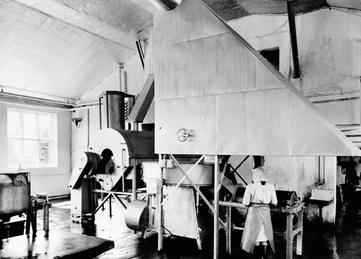 Anno Domkirkeodden, Interiør, blanchermaskin for grønnsaker, fruktdampeapperat på A/S Oplandske Konservesfabrikk, Stabburet, Nora. Brumunddal.