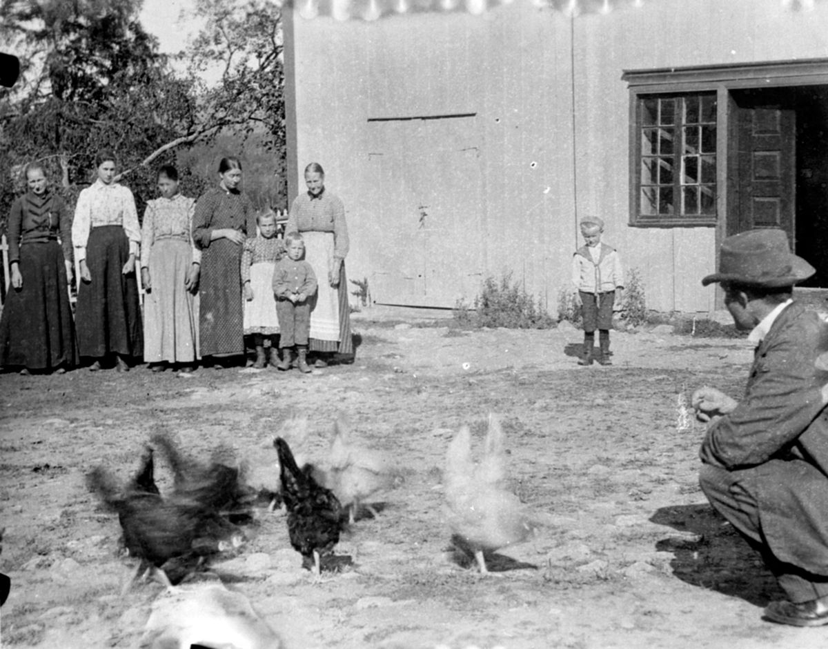 Anno Domkirkeodden, Folk og høner på tunet foran drengestua på Nerkvern gård, Brumunddal. Gutten i midten er Karl Løken, på huk foran er Birger Bjerke.