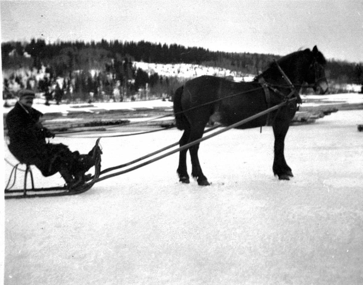 Anno Domkirkeodden, Hest og slede på Mjøsisen. Thor Bjerke med hesten Fridtjov.