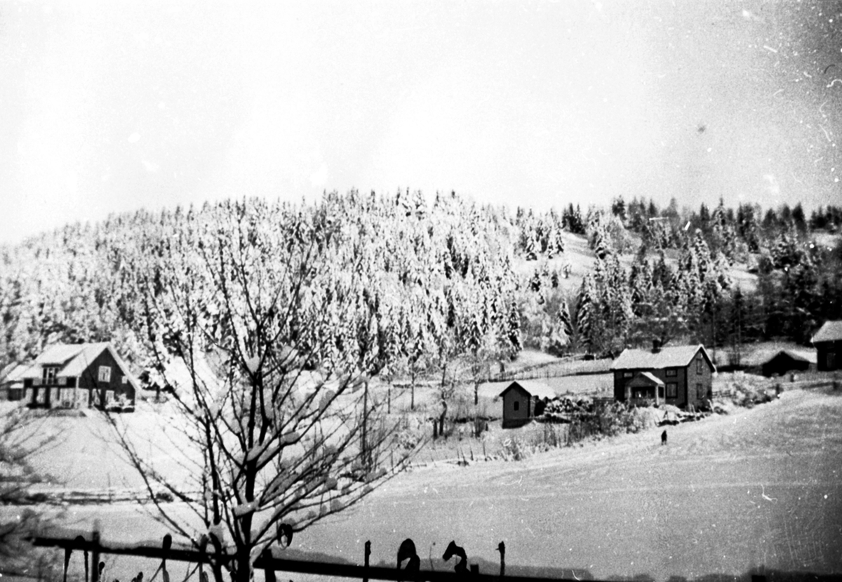 Anno Domkirkeodden, Nordgård unna Tørud. Utsikt fra Nordgård mot øst, vinter, Brumunddal.