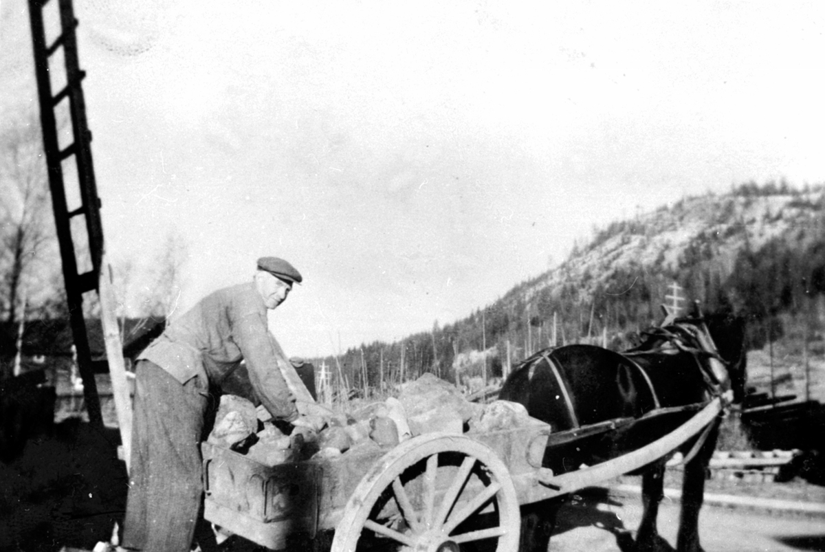 Anno Domkirkeodden, Gustav Helstad kjør stein med hest og stuttkjerre på Bjørge søndre, Veldre, Ringsaker.