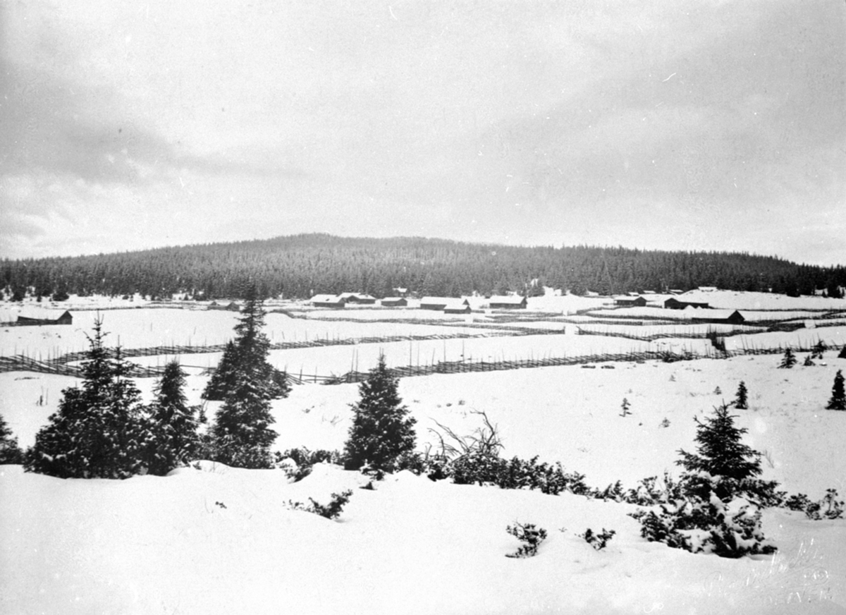 Anno Domkirkeodden, Gammelskolla seter, setervang med seterhus, Ringsakerfjellet.
