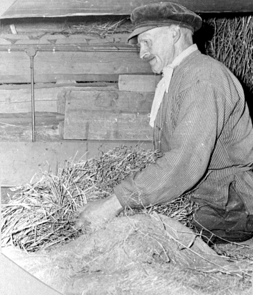 Anno Domkirkeodden, Skuronn på Fuglseng, Ringsaker. Husmann Johannes Langård mater trøskeverket.
