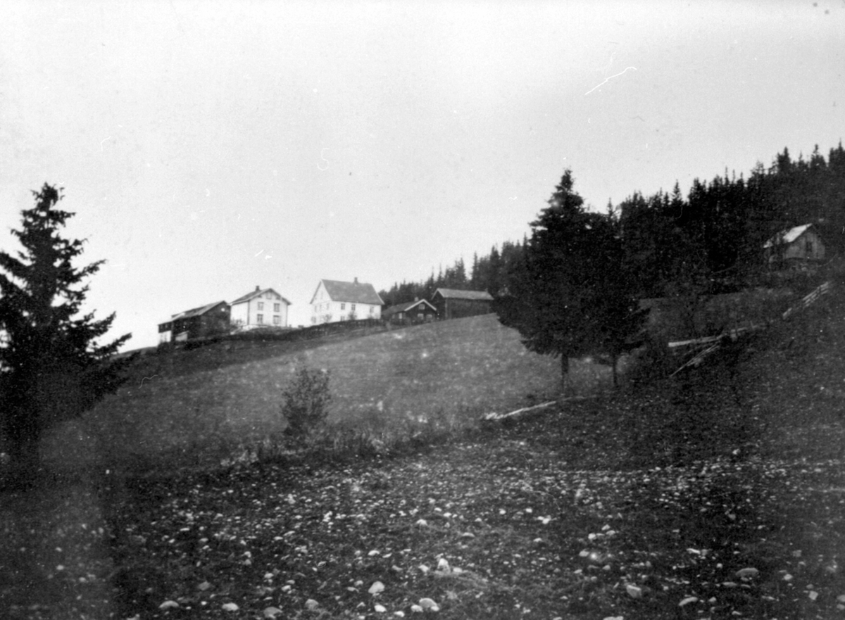 Anno Domkirkeodden, Eksteriør, Hauger gård, Ring, Ringsaker.