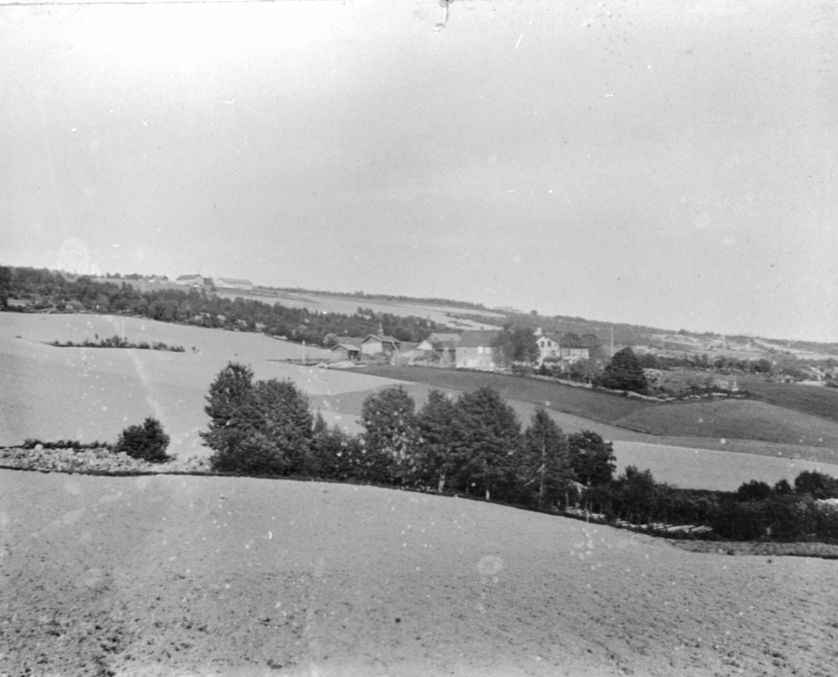 Anno Domkirkeodden, Oversikt, Tokstad gård, Veldre, Ringsaker.