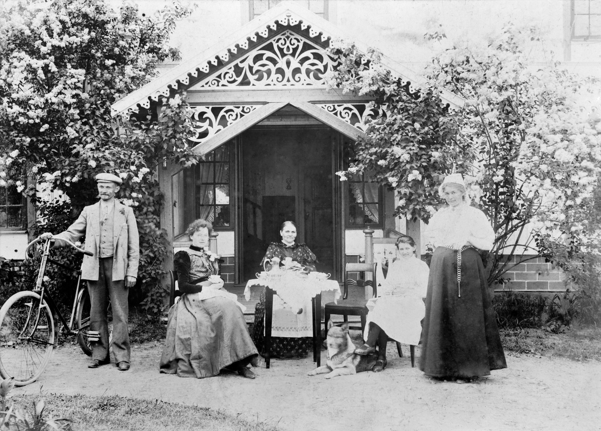 Anno Domkirkeodden, Kaffeselskap utendørs på Vinju gård, Ringsaker. Fra venstre er Johannes Windju med sykkel, ukjent, Marthe eller Elise Windju, Aagot Terjesen født Windju, ukjent. Hund.