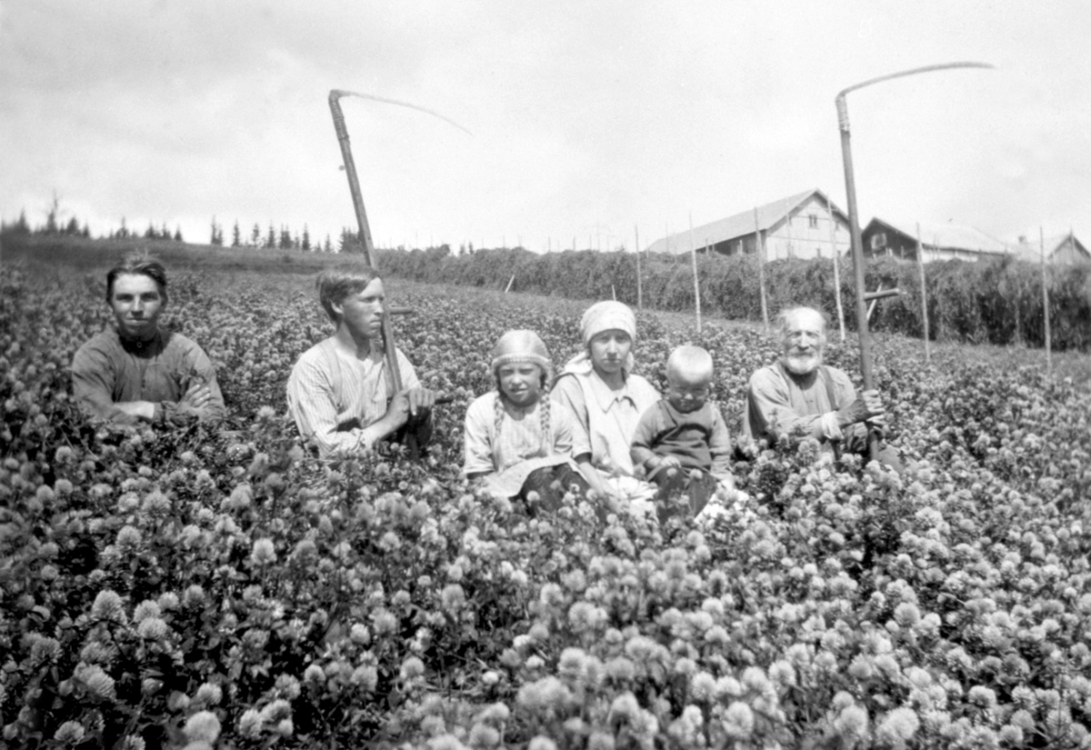 Anno Domkirkeodden, Høyonn på Lien gård, Åsmarka, Ringsaker. Fra venstre er Olaf Storsveen, Olaf Rudi, Signe Åsen, Gjertrud Rudi, Bjarne Åsen, Ole S. Rudi.