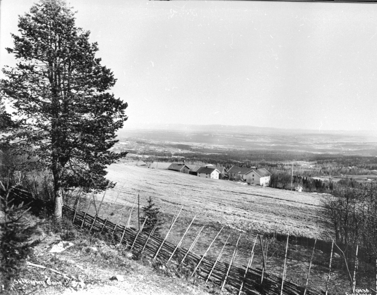 Anno Domkirkeodden, Utsikt mot Skjellungberg gård, Furnes, Ringsaker.