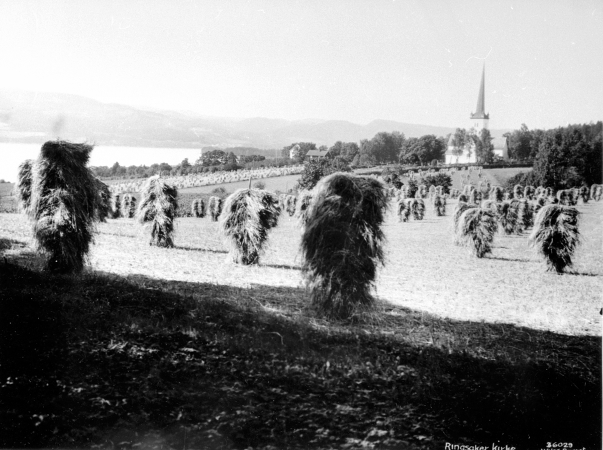 Anno Domkirkeodden, Utsikt mot gården Ringsaker kirke. Kornsnes på staur i forgrunnen.