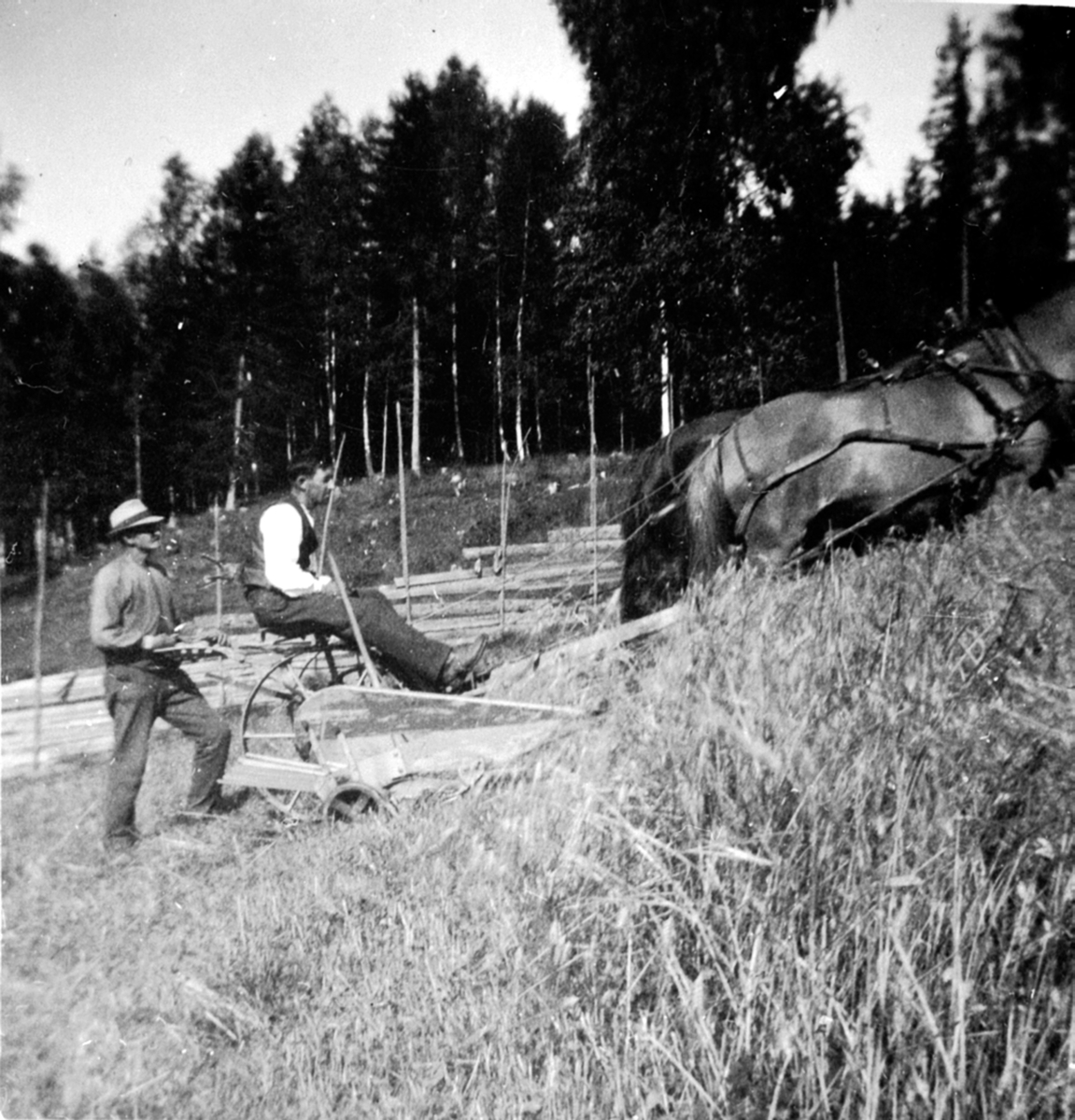 Anno Domkirkeodden, Skuronn på Røhr, Ringsaker. Hest med slåmaskin. Petter Røhr på setet, Peder Holmen bak.