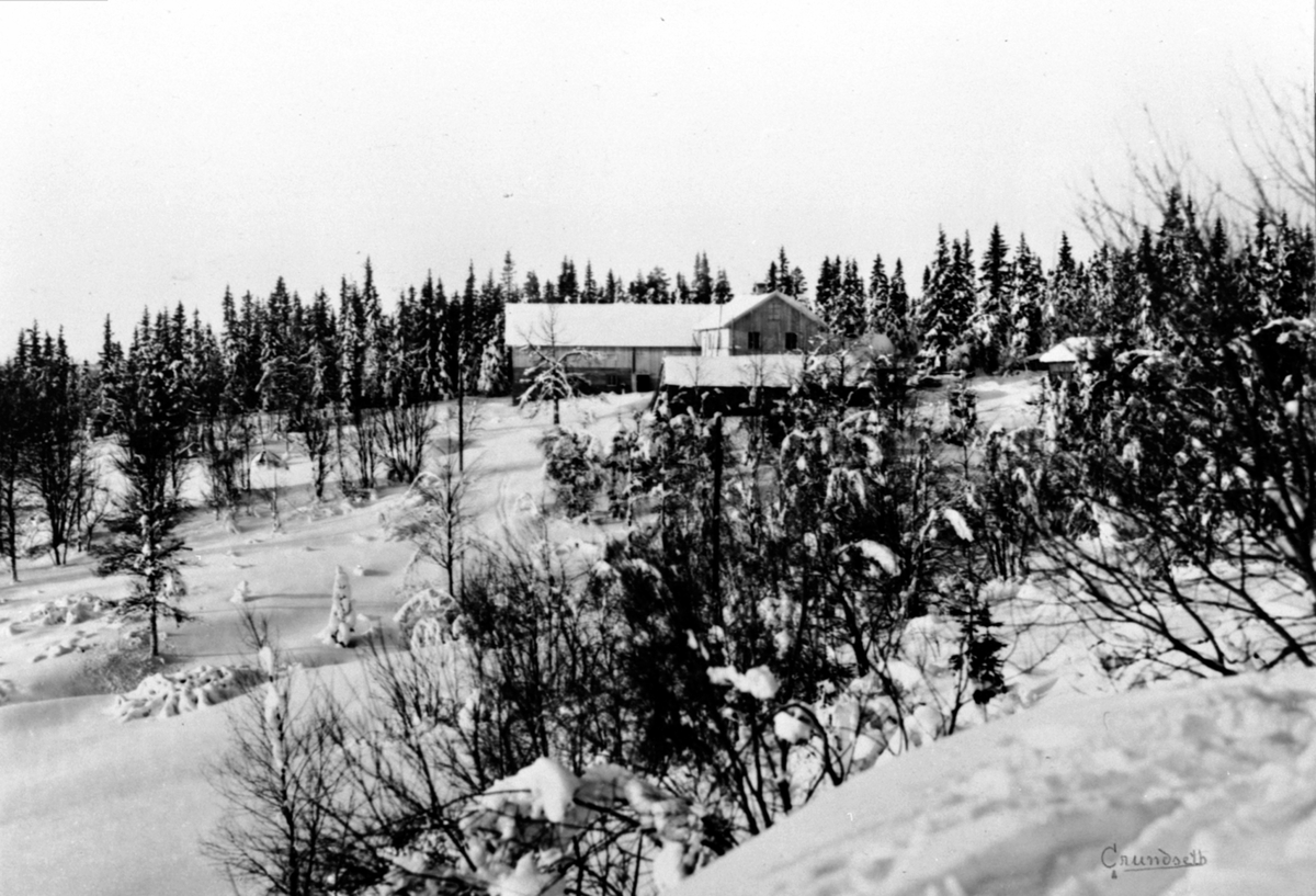 Anno Domkirkeodden, M. Steens, hytte, Gjerdengen, Veldre, Ringsaker.