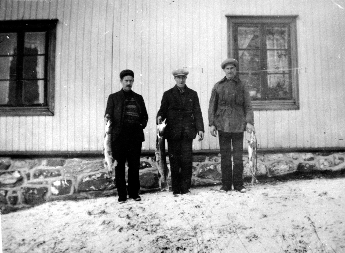 Anno Domkirkeodden, 3 mjøsfiskere med gjeddefangst. Fra venstre er Jens Hovelstuen, Nils Hovelstuen, Rolf Hovelstuen. Furnes.