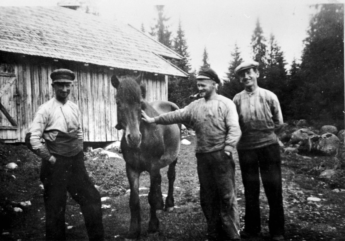 Anno Domkirkeodden, Tre menn med hest på Brumundsaga. Fra venstre er Asbjørn Hanslien, Håkon Høisveen, Alf Berger. Veldre.