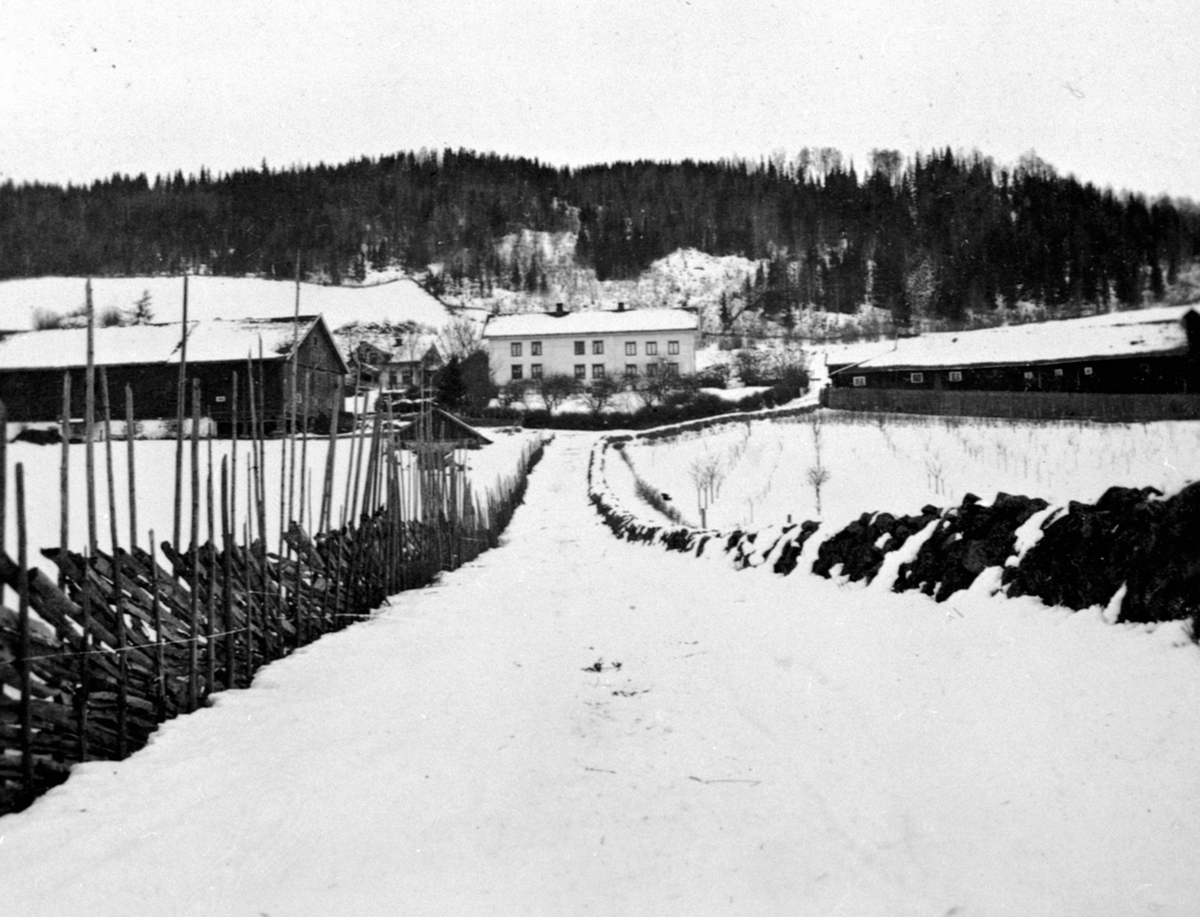 Anno Domkirkeodden, Løken østre, Veldre, Ringsaker, gardsvegen opp fra sør med skigard og steingjerde.