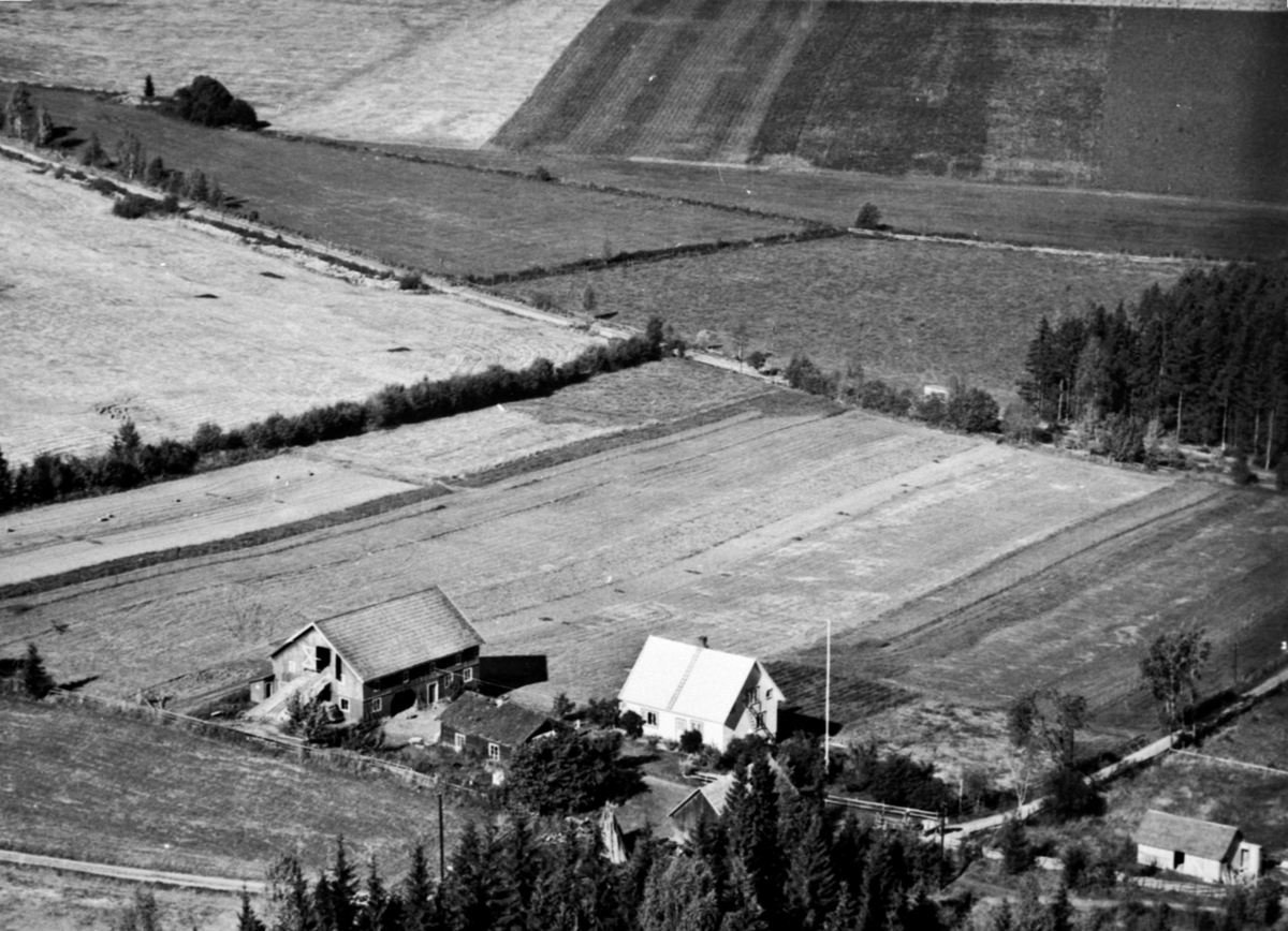 Anno Domkirkeodden, Flyfoto, småbruk, Torp, Nes, Hedmark.