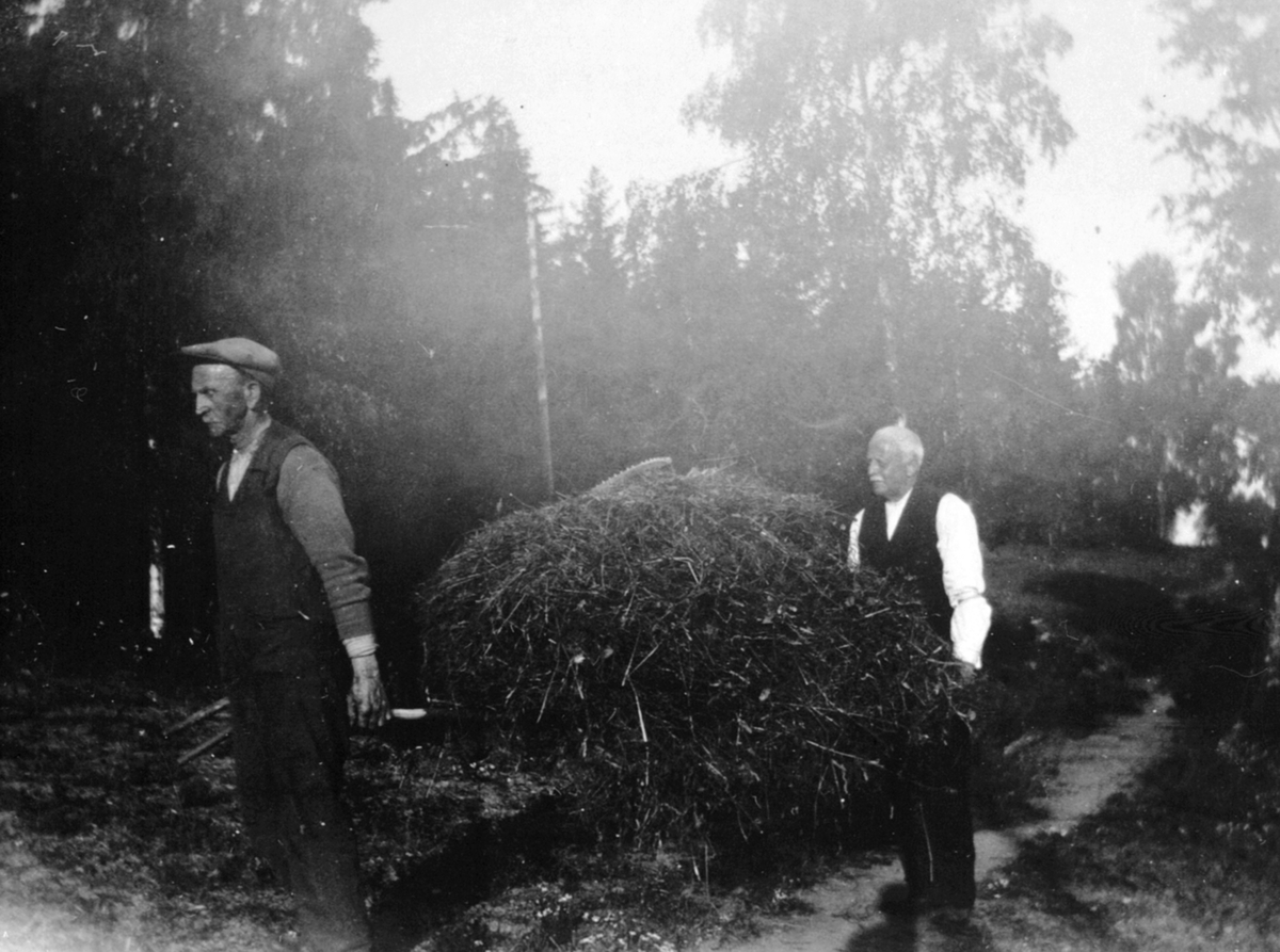 Anno Domkirkeodden, Frans Andreassen Sølvsberg og Ole Knutsen bærer inn høy på Pinkerud, Helgøya.