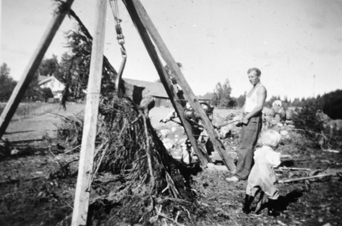 Anno Domkirkeodden, Nydyrking med bruk av stubbebryter på Maurudbakken, Helgøya. Reidar Hoel jobber (1914-1980) og datteren Bjørg Karin Hoel f. 1946 er med.
