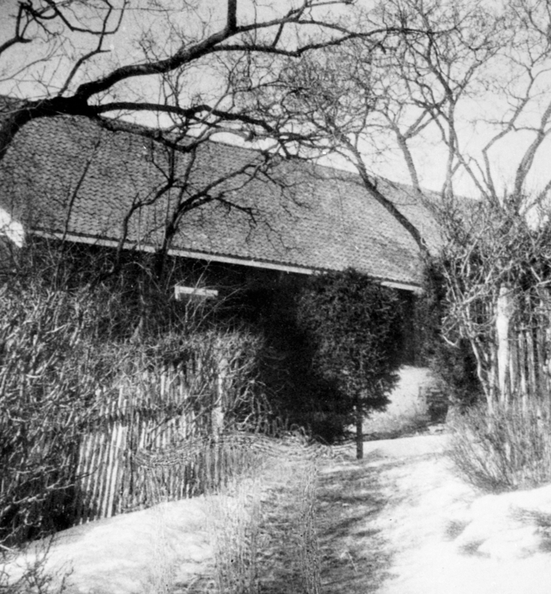Anno Domkirkeodden, Den gamle låven på Hovelsrud, Helgøya som brant i 1934, sett fra syd.