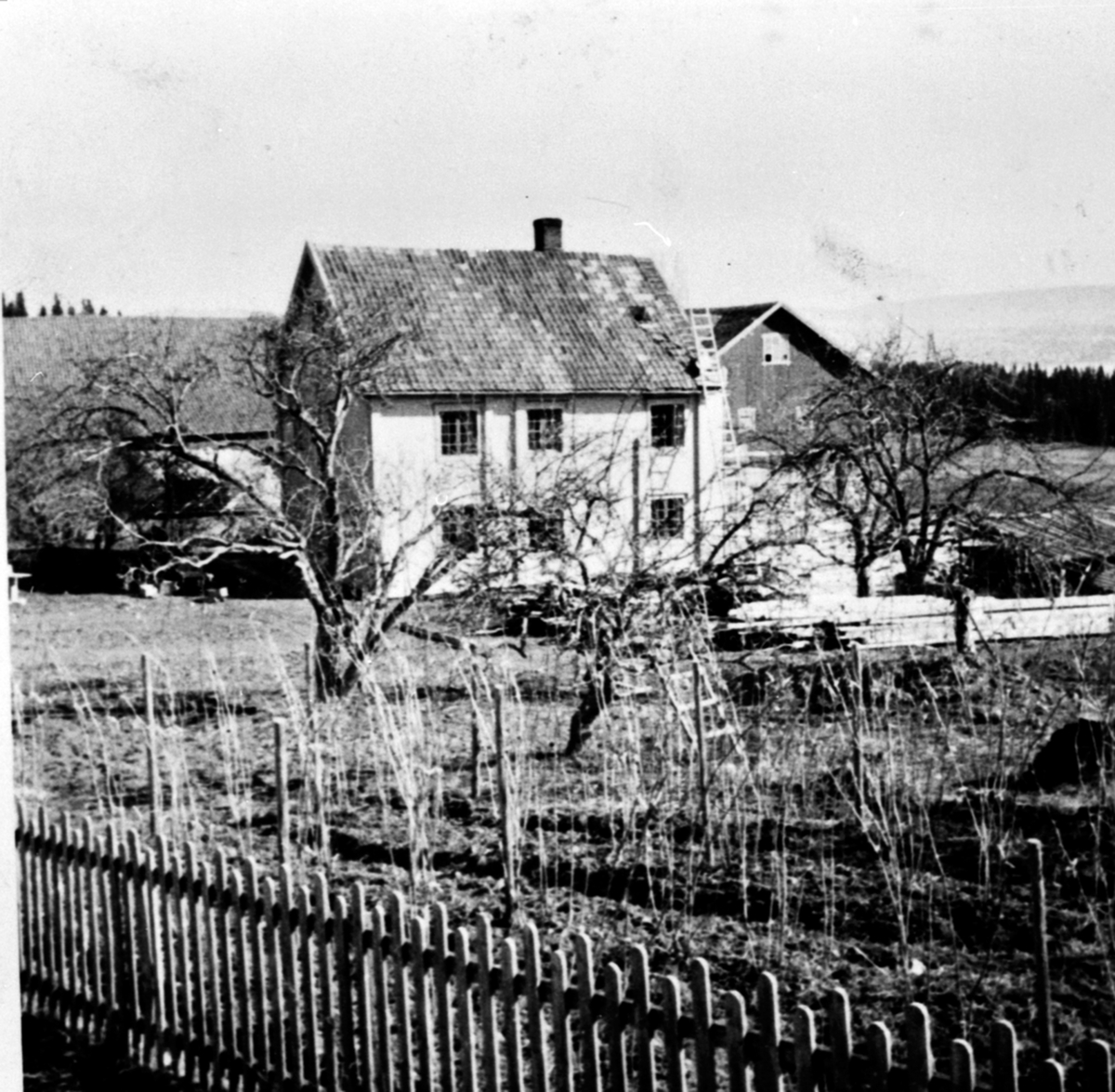 Anno Domkirkeodden, Hovedbygningen på Lodviken, Helgøya under restaurering. Eldste delen er ikke revet. Hagen med bringebærbusker i forgrunn. Stakittgjerde.