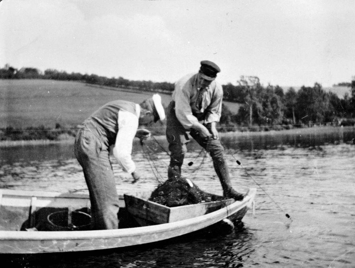 Anno Domkirkeodden, Lagsildfiske på Mjøsa. 2 menn i båt tar opp garn utenfor Hovelsrud, Helgøya, Karl B. Olssøn, ?.
