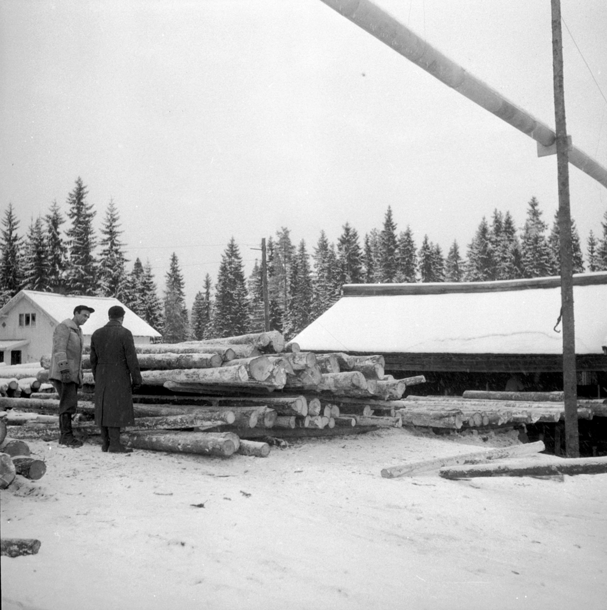 Anno Domkirkeodden, Sagbruk, arbeidere, tømmerlunne, Berger Langmoen A/S, Brumunddal.