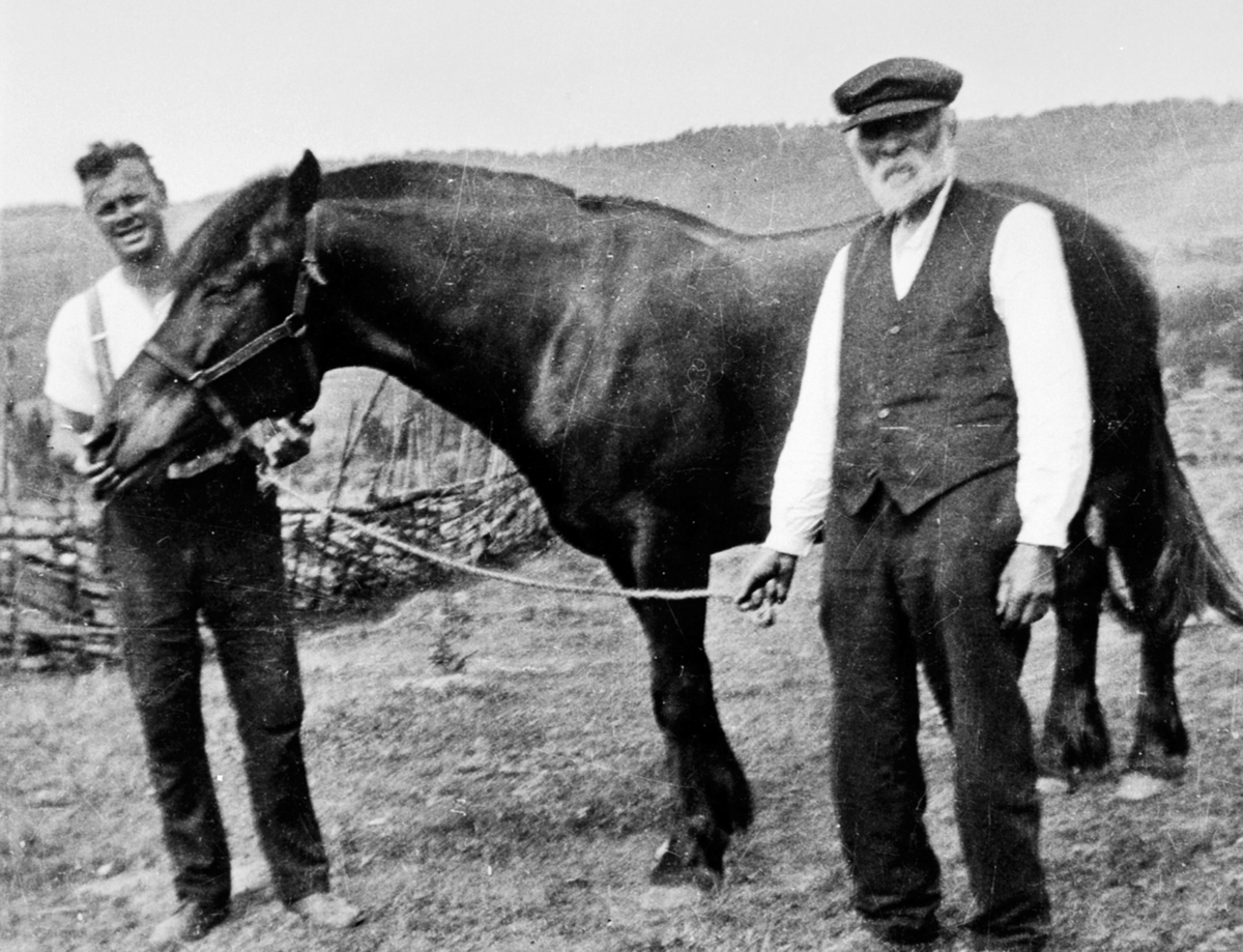 Anno Domkirkeodden, Even Blindingsvollen jr. og Even Blindingsvollen sr. med hest i Kvitrussland, Præstvegen, Rudshøgda, Ringsaker.