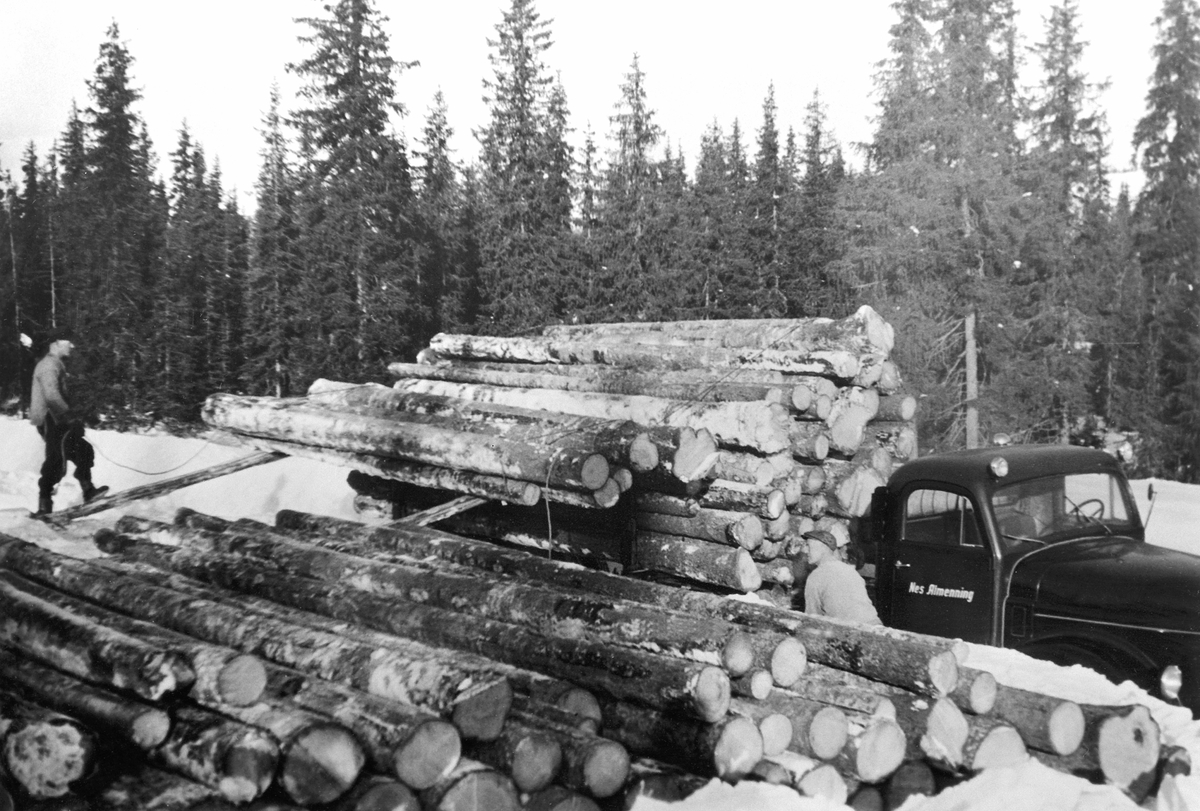 Anno Domkirkeodden, Tømmervelte, opplessing av tømmer på lastebil, en Volvo 1954 modell med Isaksens lasteapperat. Ved bilen er sjåfør Arthur Aspeli, til venstre er hjelpemann Leif Ingvaldsen, Nes Almenning, Ringsaker.